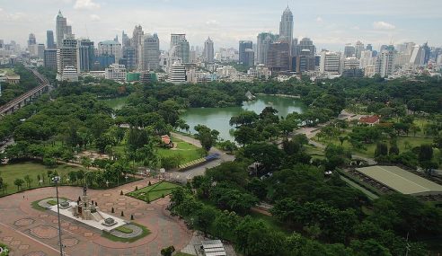 The Splendour of a Skyscraper Jungle