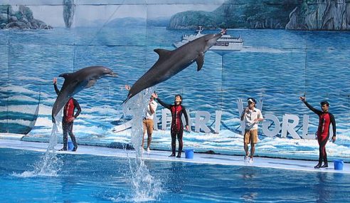 Amazing Animal Encounters at the Safari World Bangkok
