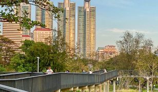 The Art of Urban Serenity