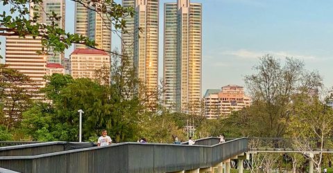 The Art of Urban Serenity