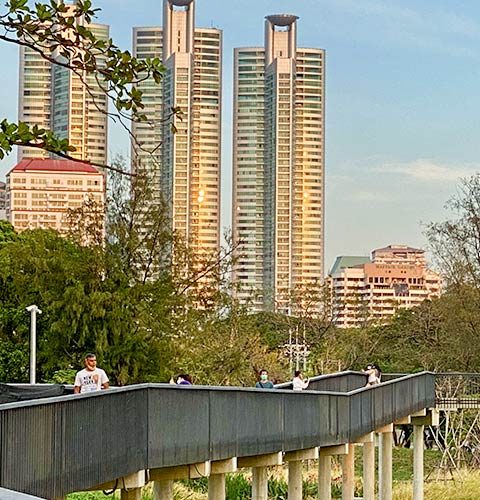 The Art of Urban Serenity