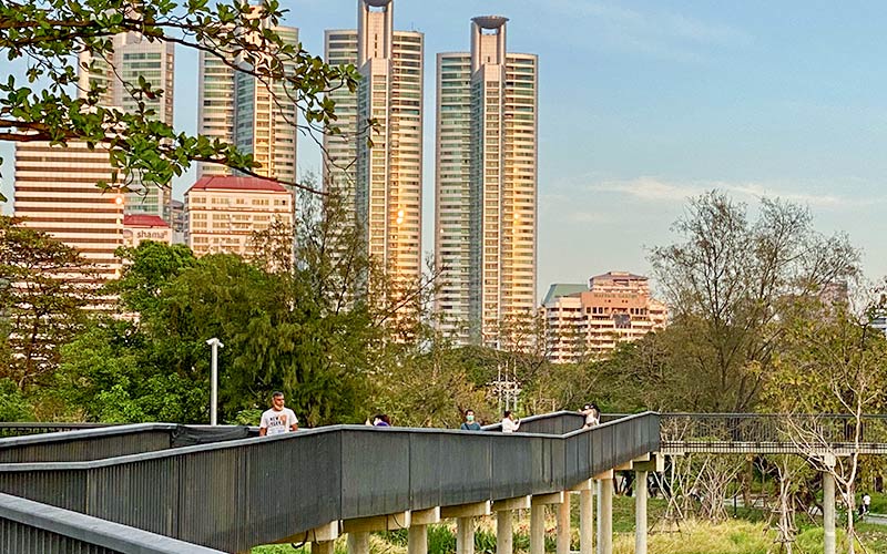 The Art of Urban Serenity
